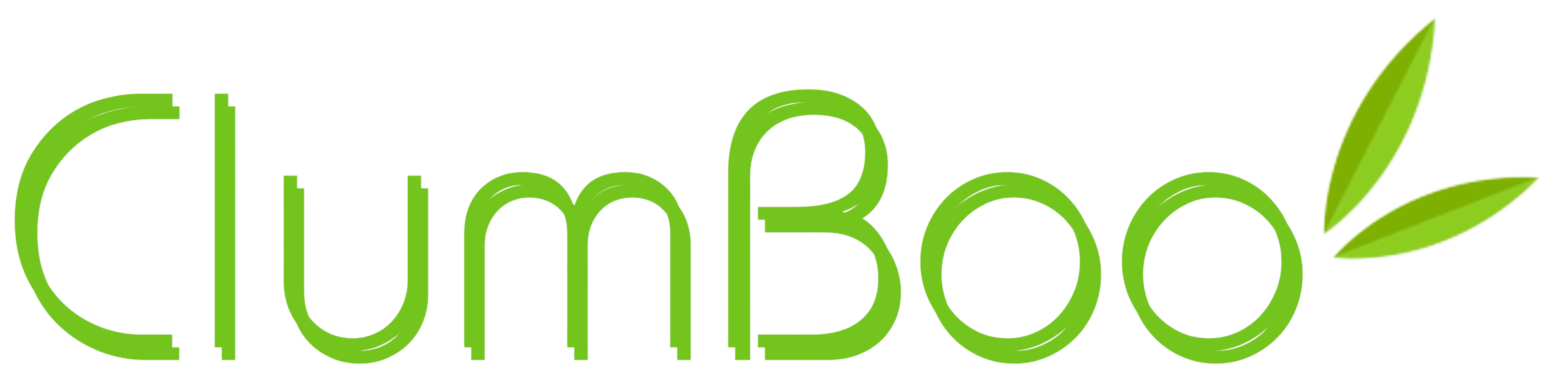 Clumboo Bamboo Clumping bamboo Sunset glow